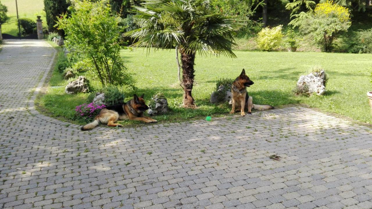 Casina Belvedere Casalecchio Di Reno Buitenkant foto